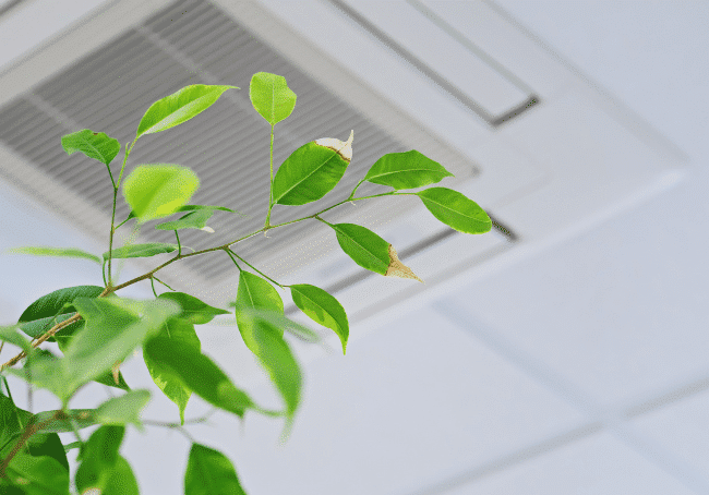 home ventilation systems (1)